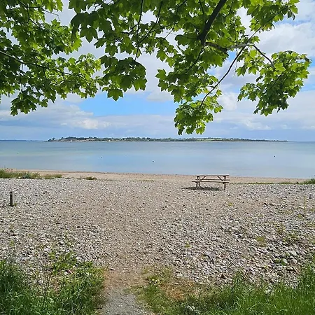 4 Person In Ferienhaus Aabenraa